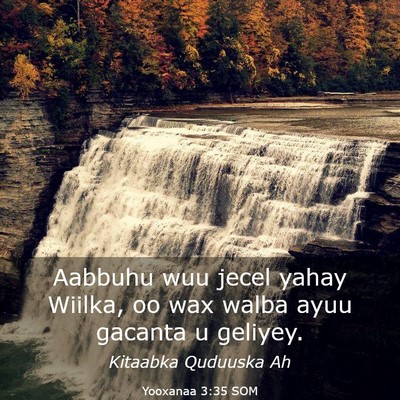 Picture 03 - Yooxanaa 3:35 SOM - Aabbuhu wuu jecel yahay Wiilka, oo wax walba ayuu - Bible Verse Picture