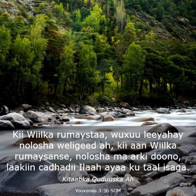 Picture 03 - Yooxanaa 3:36 SOM - Kii Wiilka rumaystaa, wuxuu leeyahay nolosha - Bible Verse Picture