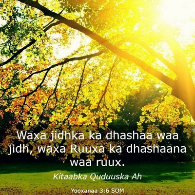 Picture 03 - Yooxanaa 3:6 SOM - Waxa jidhka ka dhashaa waa jidh, waxa Ruuxa ka - Bible Verse Picture