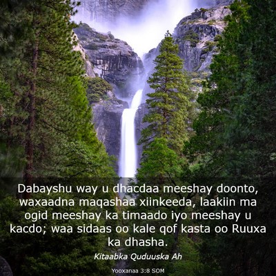 Picture 03 - Yooxanaa 3:8 SOM - Dabayshu way u dhacdaa meeshay doonto, waxaadna - Bible Verse Picture