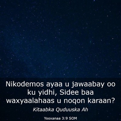 Picture 03 - Yooxanaa 3:9 SOM - Nikodemos ayaa u jawaabay oo ku yidhi, Sidee baa - Bible Verse Picture