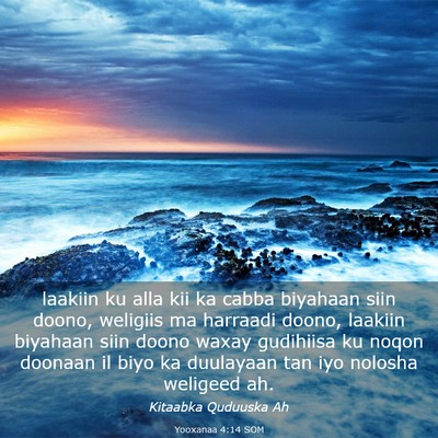 Picture 03 - Yooxanaa 4:14 SOM - laakiin ku alla kii ka cabba biyahaan siin doono, - Bible Verse Picture