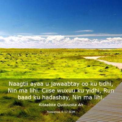 Picture 03 - Yooxanaa 4:17 SOM - Naagtii ayaa u jawaabtay oo ku tidhi, Nin ma - Bible Verse Picture