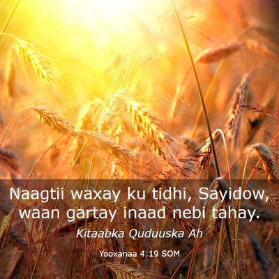 Picture 03 - Yooxanaa 4:19 SOM - Naagtii waxay ku tidhi, Sayidow, waan gartay - Bible Verse Picture