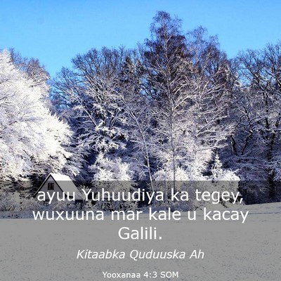 Picture 03 - Yooxanaa 4:3 SOM - ayuu Yuhuudiya ka tegey, wuxuuna mar kale u kacay - Bible Verse Picture