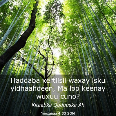Picture 03 - Yooxanaa 4:33 SOM - Haddaba xertiisii waxay isku yidhaahdeen, Ma loo - Bible Verse Picture