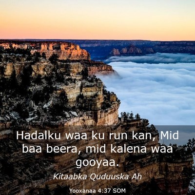 Picture 03 - Yooxanaa 4:37 SOM - Hadalku waa ku run kan, Mid baa beera, mid kalena - Bible Verse Picture