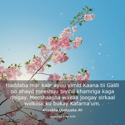 Picture 03 - Yooxanaa 4:46 SOM - Haddaba mar kale ayuu yimid Kaana tii Galili oo - Bible Verse Picture