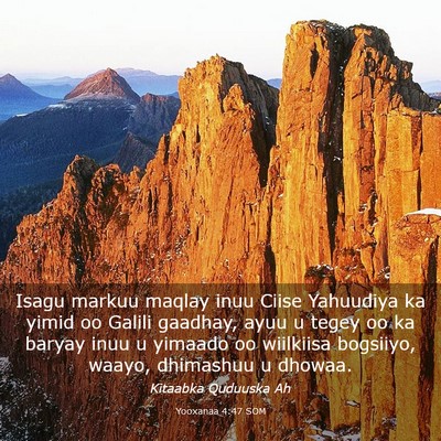 Picture 03 - Yooxanaa 4:47 SOM - Isagu markuu maqlay inuu Ciise Yahuudiya ka yimid - Bible Verse Picture