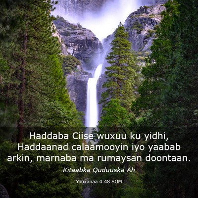 Picture 03 - Yooxanaa 4:48 SOM - Haddaba Ciise wuxuu ku yidhi, Haddaanad - Bible Verse Picture