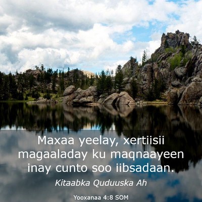 Picture 03 - Yooxanaa 4:8 SOM - Maxaa yeelay, xertiisii magaaladay ku maqnaayeen - Bible Verse Picture
