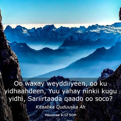 Picture 03 - Yooxanaa 5:12 SOM - Oo waxay weyddiiyeen, oo ku yidhaahdeen, Yuu - Bible Verse Picture