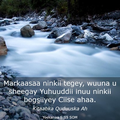 Picture 03 - Yooxanaa 5:15 SOM - Markaasaa ninkii tegey, wuuna u sheegay Yuhuuddii - Bible Verse Picture