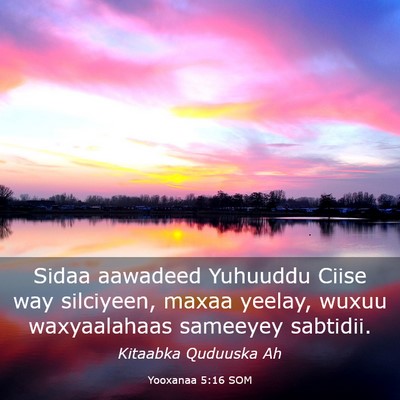 Picture 03 - Yooxanaa 5:16 SOM - Sidaa aawadeed Yuhuuddu Ciise way silciyeen, - Bible Verse Picture