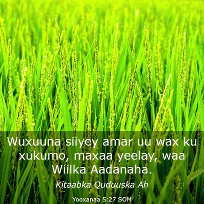 Picture 03 - Yooxanaa 5:27 SOM - Wuxuuna siiyey amar uu wax ku xukumo, maxaa - Bible Verse Picture