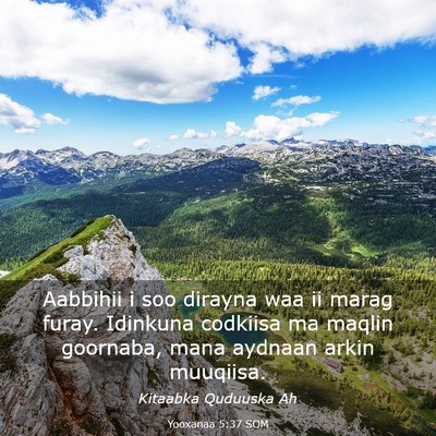 Picture 03 - Yooxanaa 5:37 SOM - Aabbihii i soo dirayna waa ii marag furay. - Bible Verse Picture