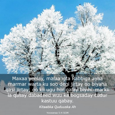Picture 03 - Yooxanaa 5:4 SOM - Maxaa yeelay, malaa'igta Rabbiga ayaa marmar - Bible Verse Picture
