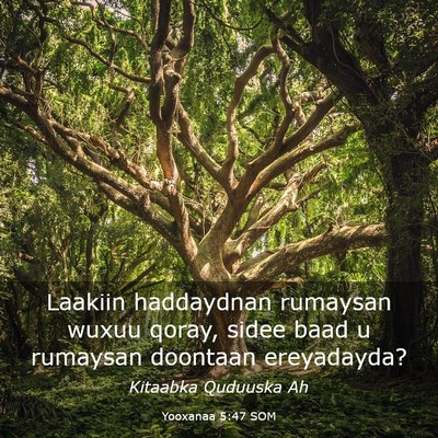 Picture 03 - Yooxanaa 5:47 SOM - Laakiin haddaydnan rumaysan wuxuu qoray, sidee - Bible Verse Picture