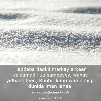 Picture 03 - Yooxanaa 6:14 SOM - Haddaba dadkii markay arkeen calaamadii uu - Bible Verse Picture
