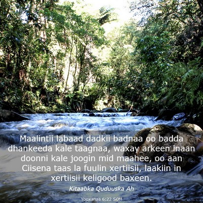Picture 03 - Yooxanaa 6:22 SOM - Maalintii labaad dadkii badnaa oo badda dhankeeda - Bible Verse Picture