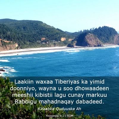 Picture 03 - Yooxanaa 6:23 SOM - Laakiin waxaa Tiberiyas ka yimid doonniyo, wayna - Bible Verse Picture