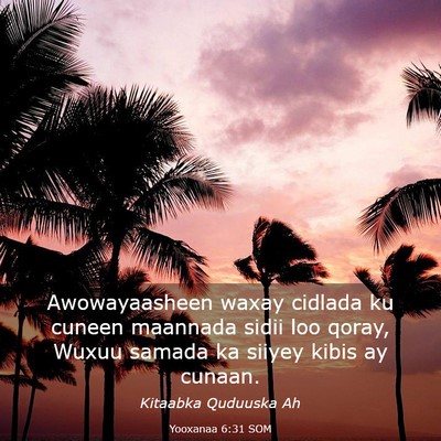 Picture 03 - Yooxanaa 6:31 SOM - Awowayaasheen waxay cidlada ku cuneen maannada - Bible Verse Picture
