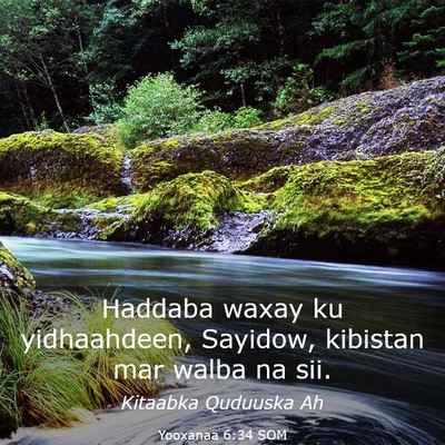 Picture 03 - Yooxanaa 6:34 SOM - Haddaba waxay ku yidhaahdeen, Sayidow, kibistan - Bible Verse Picture