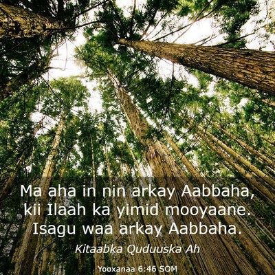 Picture 03 - Yooxanaa 6:46 SOM - Ma aha in nin arkay Aabbaha, kii Ilaah ka yimid - Bible Verse Picture