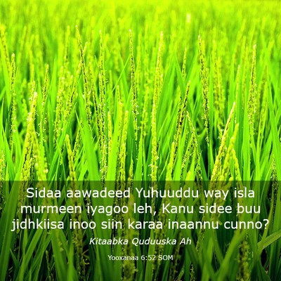 Picture 03 - Yooxanaa 6:52 SOM - Sidaa aawadeed Yuhuuddu way isla murmeen iyagoo - Bible Verse Picture