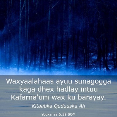 Picture 03 - Yooxanaa 6:59 SOM - Waxyaalahaas ayuu sunagogga kaga dhex hadlay - Bible Verse Picture