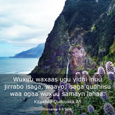 Picture 03 - Yooxanaa 6:6 SOM - Wuxuu waxaas ugu yidhi inuu jirrabo isaga, waayo, - Bible Verse Picture
