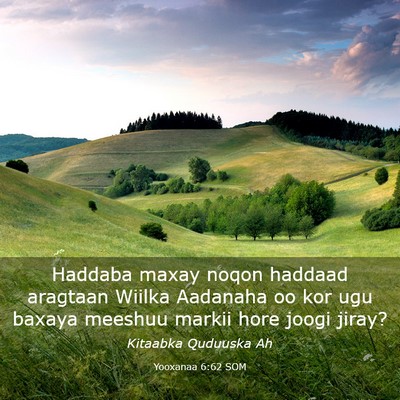 Picture 03 - Yooxanaa 6:62 SOM - Haddaba maxay noqon haddaad aragtaan Wiilka - Bible Verse Picture