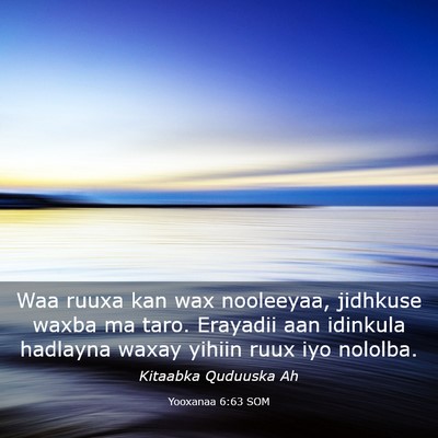 Picture 03 - Yooxanaa 6:63 SOM - Waa ruuxa kan wax nooleeyaa, jidhkuse waxba ma - Bible Verse Picture