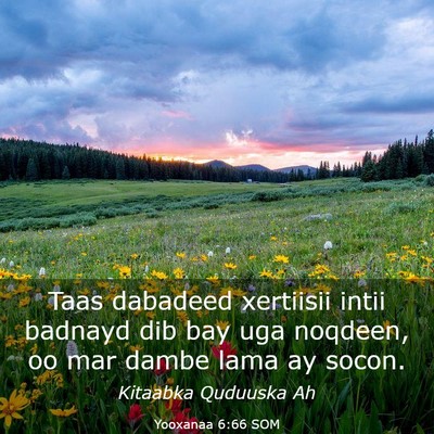 Picture 03 - Yooxanaa 6:66 SOM - Taas dabadeed xertiisii intii badnayd dib bay uga - Bible Verse Picture
