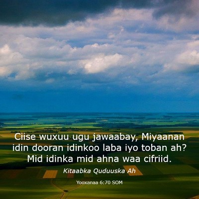 Picture 03 - Yooxanaa 6:70 SOM - Ciise wuxuu ugu jawaabay, Miyaanan idin dooran - Bible Verse Picture