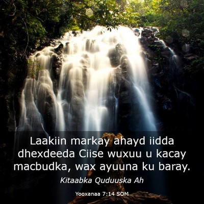 Picture 03 - Yooxanaa 7:14 SOM - Laakiin markay ahayd iidda dhexdeeda Ciise wuxuu - Bible Verse Picture