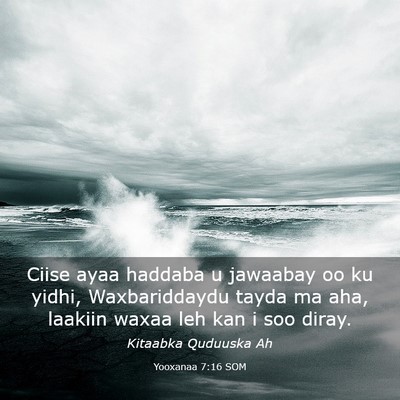 Picture 03 - Yooxanaa 7:16 SOM - Ciise ayaa haddaba u jawaabay oo ku yidhi, - Bible Verse Picture
