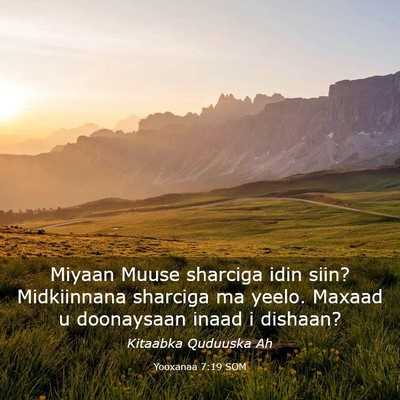 Picture 03 - Yooxanaa 7:19 SOM - Miyaan Muuse sharciga idin siin? Midkiinnana - Bible Verse Picture