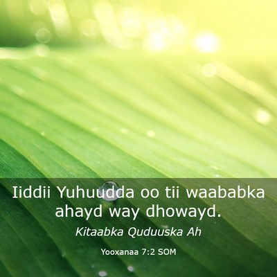 Picture 03 - Yooxanaa 7:2 SOM - Iiddii Yuhuudda oo tii waababka ahayd way - Bible Verse Picture