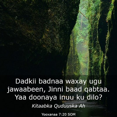 Picture 03 - Yooxanaa 7:20 SOM - Dadkii badnaa waxay ugu jawaabeen, Jinni baad - Bible Verse Picture
