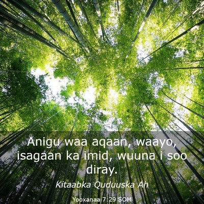 Picture 03 - Yooxanaa 7:29 SOM - Anigu waa aqaan, waayo, isagaan ka imid, wuuna i - Bible Verse Picture