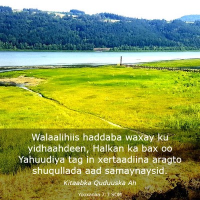 Picture 03 - Yooxanaa 7:3 SOM - Walaalihiis haddaba waxay ku yidhaahdeen, Halkan - Bible Verse Picture