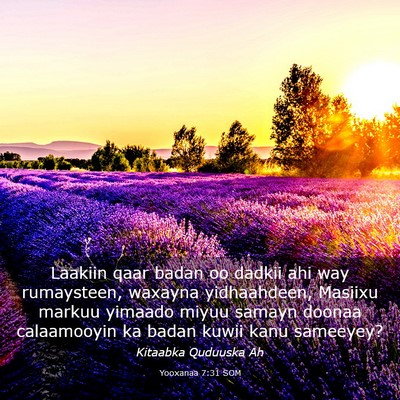 Picture 03 - Yooxanaa 7:31 SOM - Laakiin qaar badan oo dadkii ahi way rumaysteen, - Bible Verse Picture