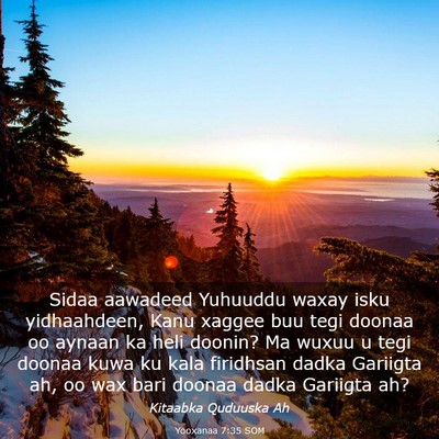 Picture 03 - Yooxanaa 7:35 SOM - Sidaa aawadeed Yuhuuddu waxay isku yidhaahdeen, - Bible Verse Picture