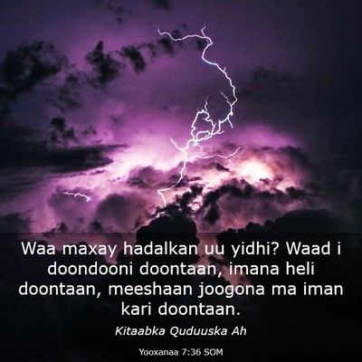 Picture 03 - Yooxanaa 7:36 SOM - Waa maxay hadalkan uu yidhi? Waad i doondooni - Bible Verse Picture