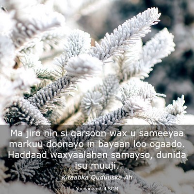 Picture 03 - Yooxanaa 7:4 SOM - Ma jiro nin si qarsoon wax u sameeyaa markuu - Bible Verse Picture