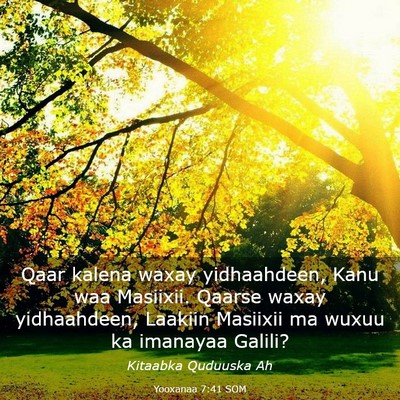 Picture 03 - Yooxanaa 7:41 SOM - Qaar kalena waxay yidhaahdeen, Kanu waa Masiixii. - Bible Verse Picture