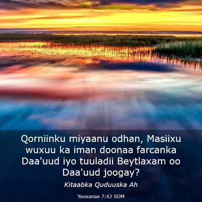 Picture 03 - Yooxanaa 7:42 SOM - Qorniinku miyaanu odhan, Masiixu wuxuu ka iman - Bible Verse Picture