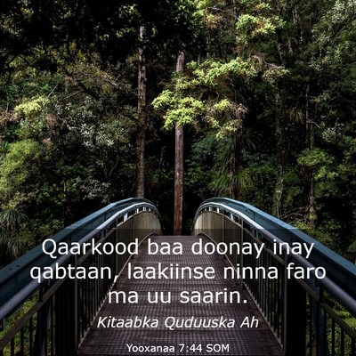 Picture 03 - Yooxanaa 7:44 SOM - Qaarkood baa doonay inay qabtaan, laakiinse ninna - Bible Verse Picture