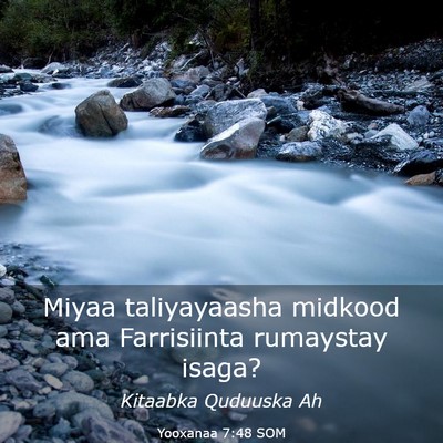 Picture 03 - Yooxanaa 7:48 SOM - Miyaa taliyayaasha midkood ama Farrisiinta - Bible Verse Picture